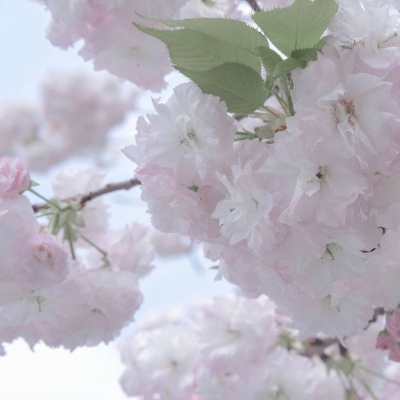 兽设森林场景创作Furry群